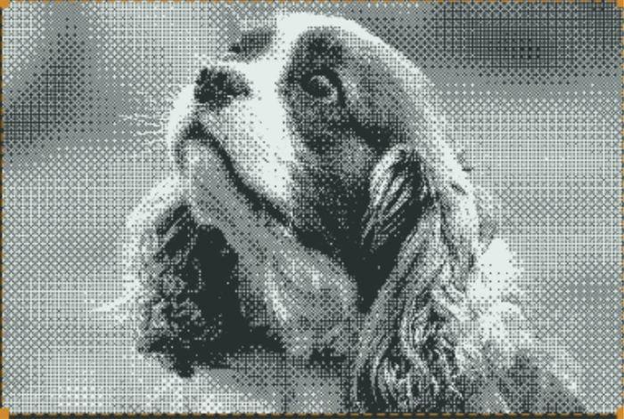 Foto convertida em preview de gravação com dithering